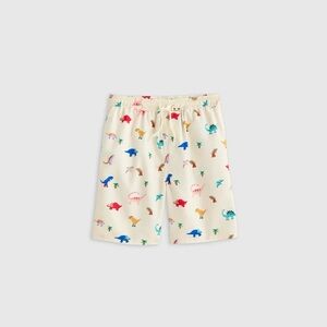 Quince Boys Swim Trunks in 2T